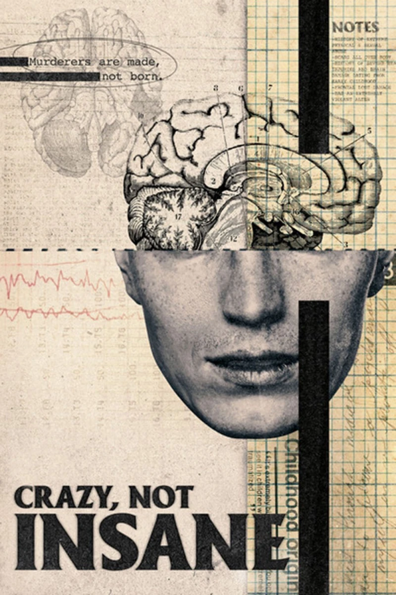 Điên, Không Mất Trí - Crazy, Not Insane (2020)