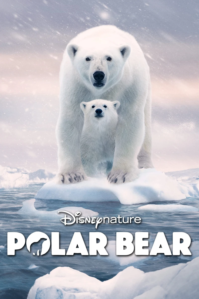 Gấu Bắc Cực - Polar Bear (2022)