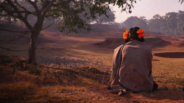 Giết cọp trong hang - To Kill a Tiger