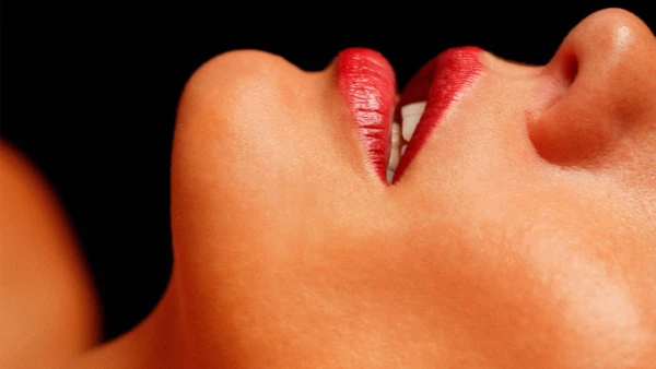 La Maison - The House