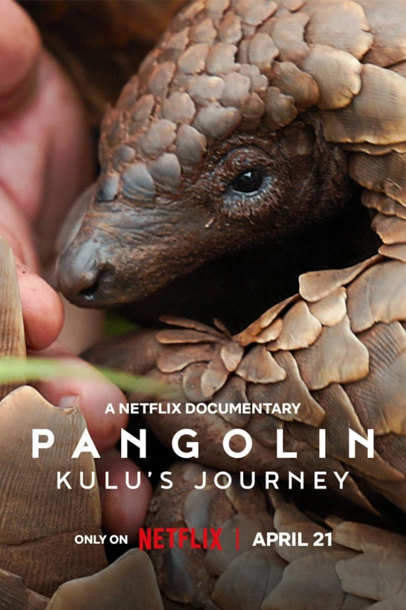 Loài tê tê: Hành trình của Kulu - Pangolin: Kulu's Journey (2025)