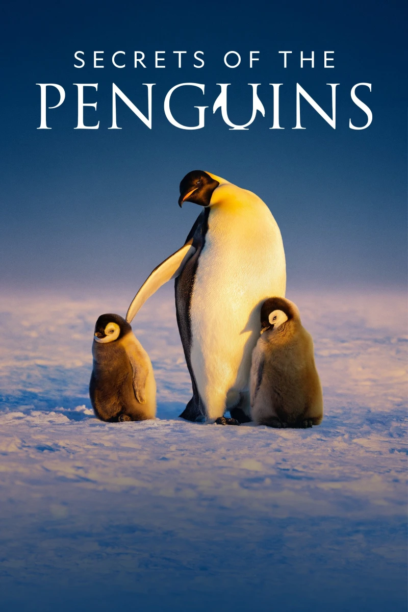 Secrets of the Penguins - Secrets of the Penguins (2025)