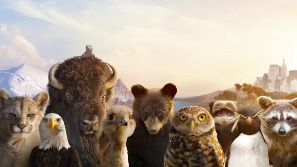 The Americas - The Americas