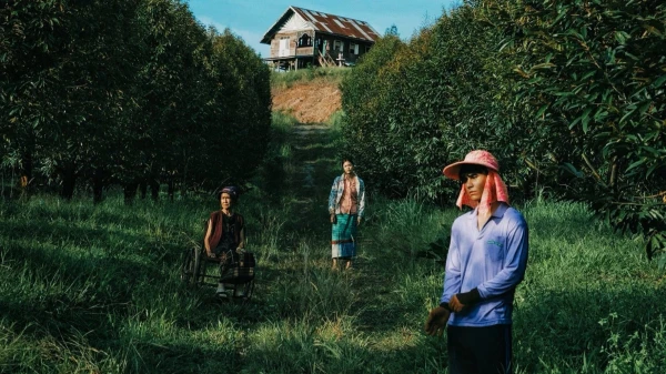 Thiên Đường Quả Báo - The Paradise of Thorns
