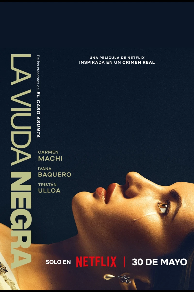 Trò Chơi Của Một Góa Phụ - A Widow's Game (2025)